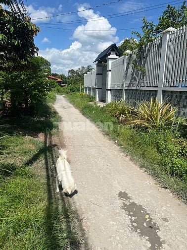 Chính chủ bán nhà đất 4.5x25 góc đường Mỹ Hạnh-DT823 Đức Hòa Long An 