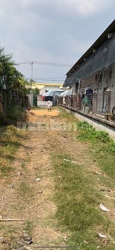 BÁN ĐẤT MẶT TIỀN ĐT 830 LONG ĐỊNH CẦN ĐƯỚC