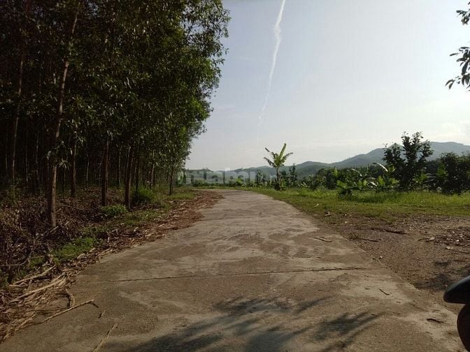 Cho thuê đất trống thích hợp làm trang trại vườn 