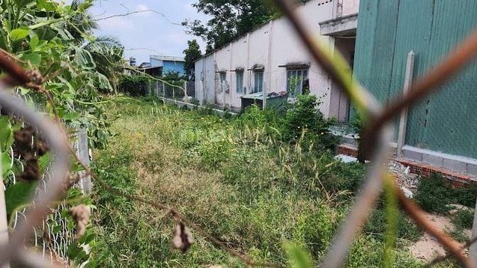 CẦN TIỀN KD BÁN GẤP 240M2 ĐẤT MẶT TIỀN TÂN PHÚ TRUNG CỦ CHI GIÁ 450 TR