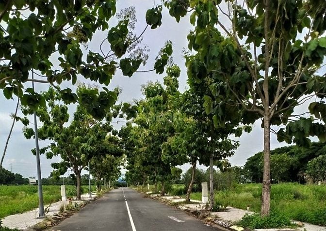 Đất Nền Cát Lái 5x20 đường 12 Thông Thoáng Sổ đỏ Cầm Tay 66tr /m