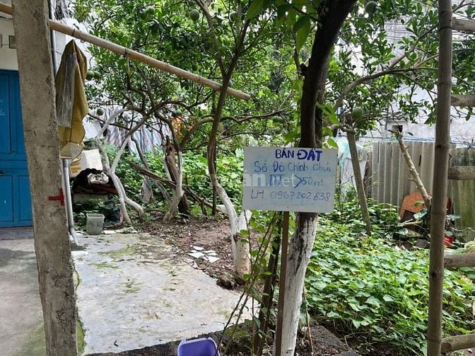 Bán đất thổ cư 50m2 Sổ đỏ chính chủ tại Tây Mỗ