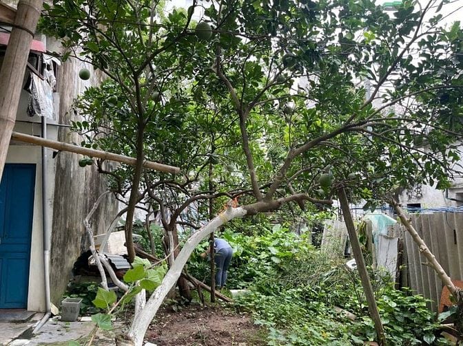 Bán đất thổ cư 50m2 Sổ đỏ chính chủ tại Tây Mỗ