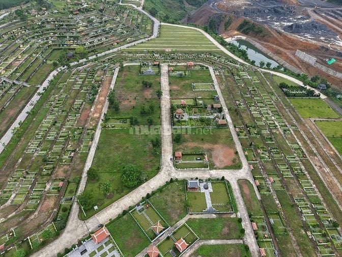 Cần bán 48,16m2 đất nghĩa trang Lạc Hồng Viên đồi Thổ hướng Nam