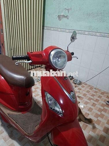 Cần bán xe atila fi