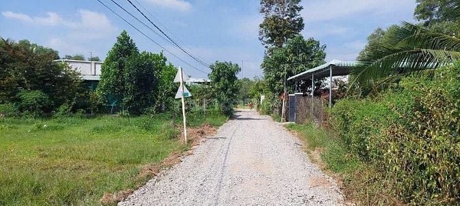 NGỘP cần bán gấp 1223m2 chỉ 1ty6 ( 1tr3/m2) MT Nguyễn Thị Thạo Củ Chi 