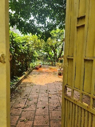 ngõ 293 Ngọc Thuỵ, Đất vuông vức, sổ đỏ chính chủ, liên hệ chính chủ