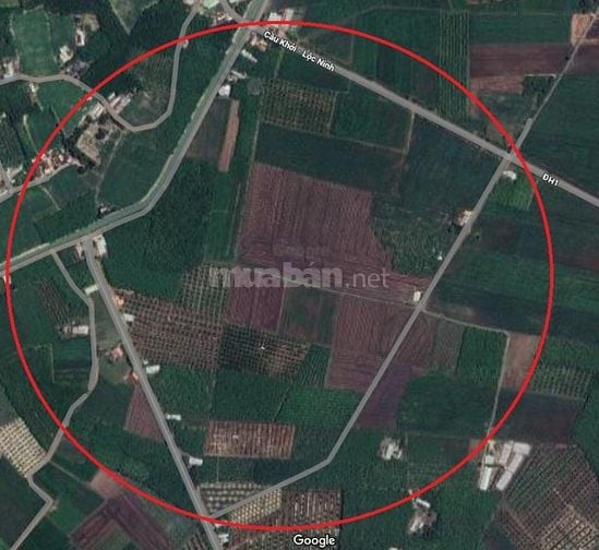 Bán đất Cầu Khởi, Dương Minh Châu, Tây Ninh, 2,15 triệu / m2, 13000 m2
