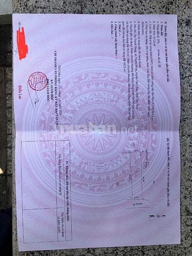 Hàng ngộp cần bán để trả nợ ngân hàng, 412m2 giá chuẩn 828tr, Tây Ninh
