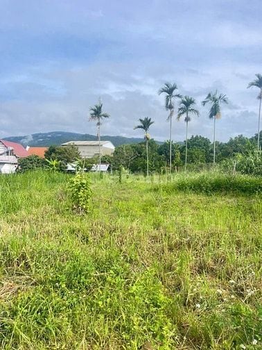 Bán đất tại Thị trấn D'ran_ 1,5 tỷ_diện tích 272m2