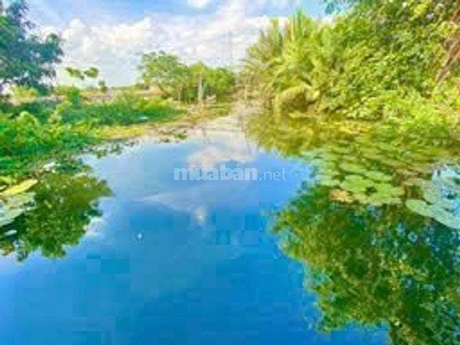 Bán gấp đất nhà vườn đất công Phú Đông Nhơn Trạch giá rẻ,SR chính chủ