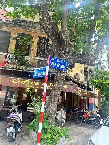 Mặt phố Triệu Việt Vương 135m2 mặt tiền 6.5m 7 tầng 100 tỷ 200tr/th