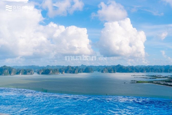 Siêu phẩm view biển A La Carte Hạ Long 1PN chỉ 2 tỷ 6, trục B - 03
