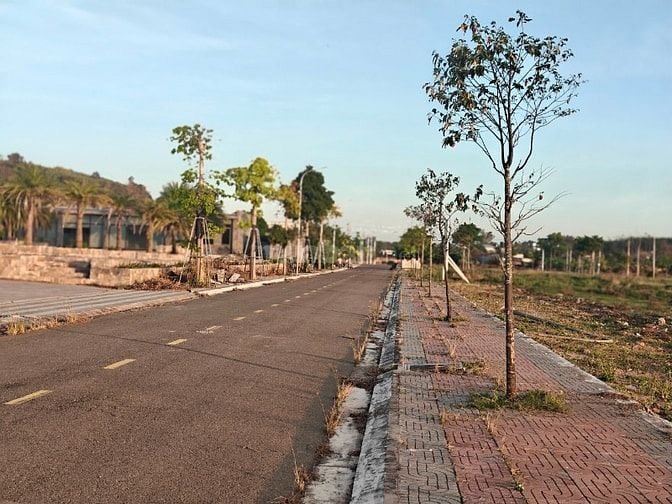 🌳 BÁN ĐẤT NỀN DỰ ÁN – DIỆN TÍCH LỚN 133M² – GIÁ CHỈ 1,4 TỶ 🌳
