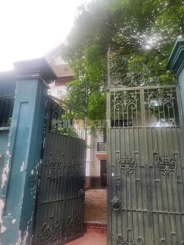 Cho thuê biệt thự mặt tiền đường nguyễn văn hưởng 