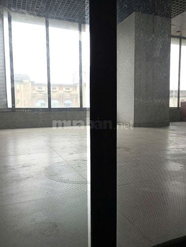 Cho thuê nhà nguyên căn MT  Lê Đại Hành, Phường 11, Quận 11