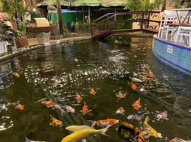 VIỆC LÀM TỰ DO THỜI GIAN CHO SINH VIÊN - TÂN BÌNH