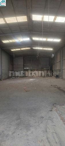 Cho Thuê Nhà Mặt Tiền: Nguyễn Văn Khối, Quận Gò Vấp, TPHCM_DT:12m x40m
