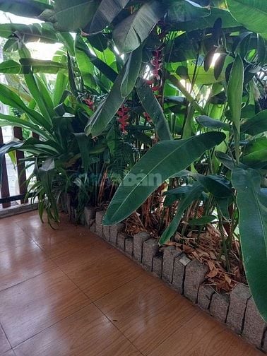 Bán gáp nhà HXH 100m2 đường nguyễn bá tòng , trệt 4 lầu .Q Tân Bình