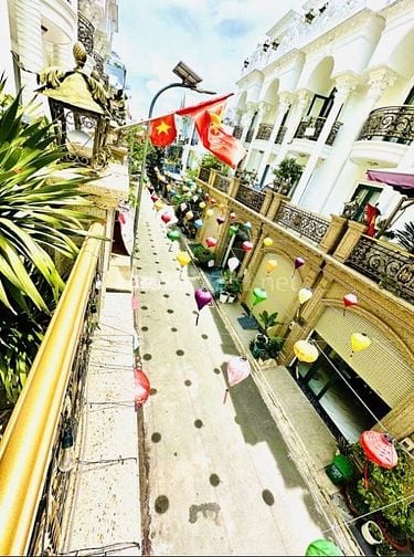 🏡 BÁN NHÀ BIỆT THỰ TÂN CỔ ĐIỂN - Khu Phân Lô Đồng Bộ – BÌNH TÂN