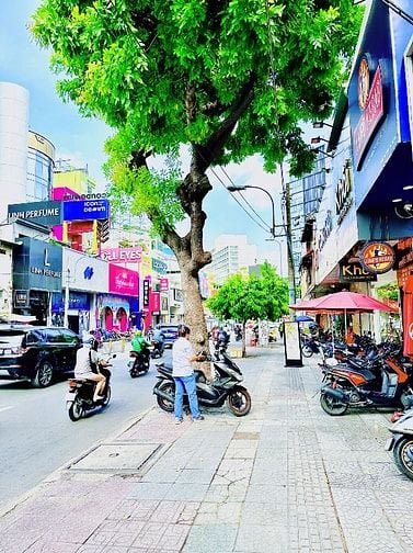 ❇️❇️ Cho Thuê Nhà Mặt Tiền: 81B-83 Cách Mạng Tháng 8 - Quận 1 - 6x16m