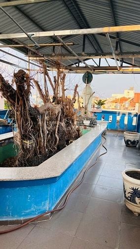 CHÍNH CHỦ BÁN NHÀ 2 MẶT TIỀN 16M VÀ 4M ĐỊA CHỈ 39 DS 21 P8 QGV