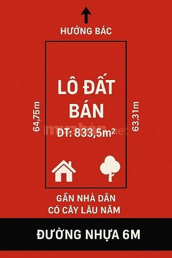 CẦN BÁN GẤP LÔ ĐẤT MẶT TIỀN ĐƯỜNG NHỰA – XÃ LAI HƯNG, BÀU BÀNG, BÌ