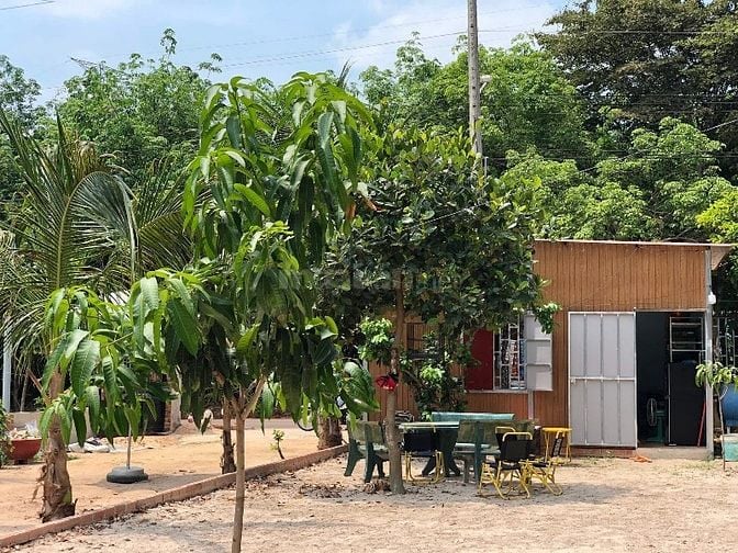 CẦN BÁN GẤP LÔ ĐẤT MẶT TIỀN ĐƯỜNG NHỰA – XÃ LAI HƯNG, BÀU BÀNG, BÌ