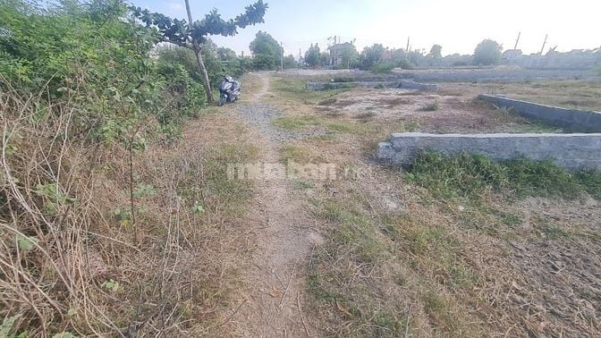 Siêu Phẩm Đất Nở Hậu Gần Biển Phước Hội, Giá Chỉ Hơn 1 Tỷ