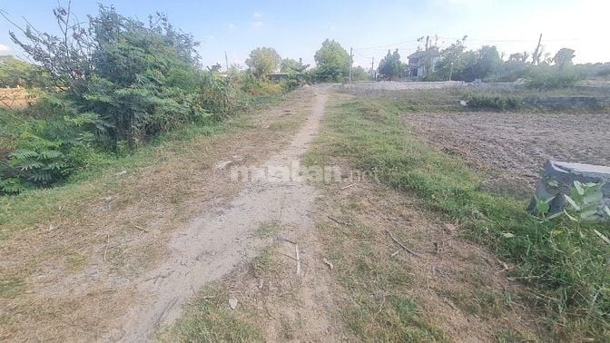 Siêu Phẩm Đất Nở Hậu Gần Biển Phước Hội, Giá Chỉ Hơn 1 Tỷ