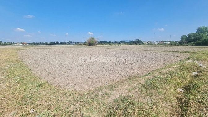 Siêu Phẩm Đất Nở Hậu Gần Biển Phước Hội, Giá Chỉ Hơn 1 Tỷ