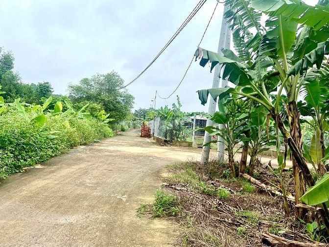 Chỉ với 600 triệu – Sở hữu ngay lô đất vườn 1350m² tại Thống Nhất, Đồn
