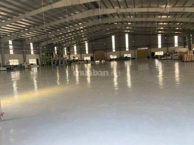 Cho thuê kho xưởng KCN Vĩnh Lộc,vị trí đắc địa, phù hợp mọi ngành nghề