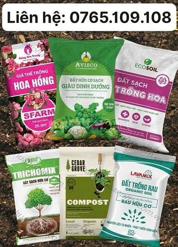 Công Ty Thuận Phát Sản Xuất Bao Bì Đất Sạch