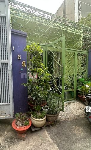 Hẻm 4m nhà cấp 4 162m2(4x41m) Lý Thánh Tông, Hiệp Tân, Tân Phú