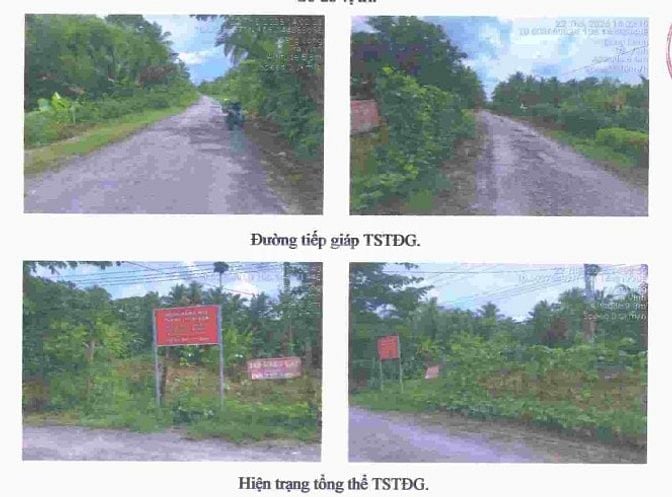 Bán 300m2 ONT+4.992,3m2 CLN tại Số 5, xã Mỹ Cẩm, Càng Long, Trà Vinh