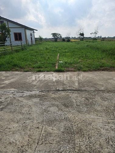 Bán đất thổ cư view sông hẻm xe hơi Ấp Bà Chủ, Huyện Cần Đước, Long An