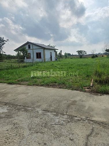 Bán đất thổ cư view sông hẻm xe hơi Ấp Bà Chủ, Huyện Cần Đước, Long An