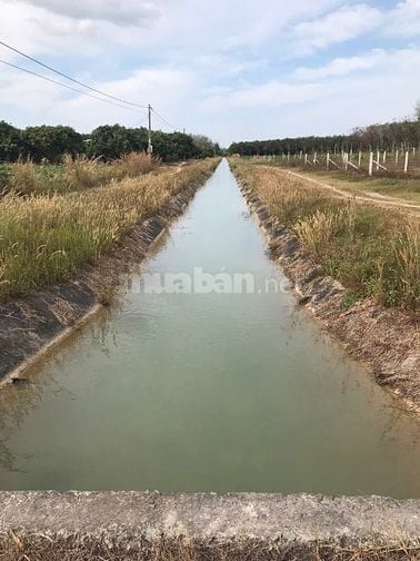 Giá Giảm Mạnh Từ 1,05 tỷ còn 850 triệu lô 2 mặt tiền 272m2, Gò Dầu, TN