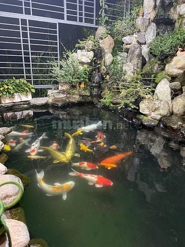 Bán Biệt thự bán đảo sông Sài Gòn An Phú Đông quận 12