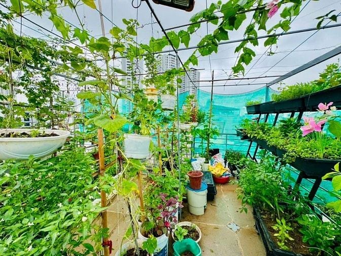 Bán căn thổ cư Tân Mai. Nguyễn Chính. Ô tô ngủ trong nhà. Lô góc toàn 