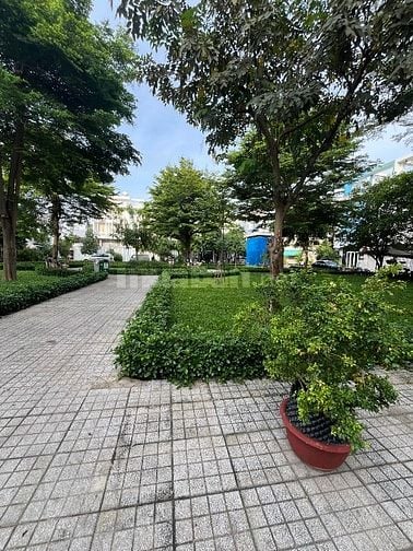Bán cặp nhà KDC Bông Sao P5Q8. DT 8x16m 1 trệt 3 lầu