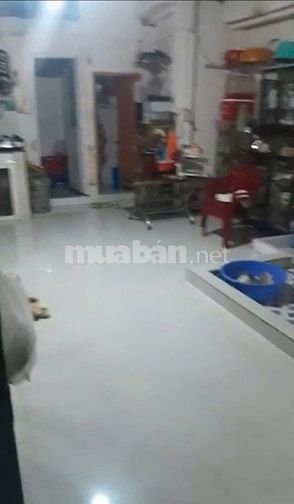 Bán nhà Nở hậu 8m, Cách MT Tạ Quang Bửu 20m, SHR gần TTTM