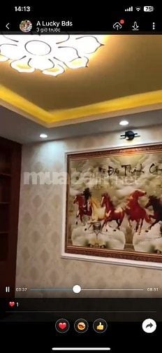 🏡 BÁN NHÀ ĐẸP ĐƯỜNG DƯƠNG QUẢNG HÀM p5– GÒ VẤP 📐 DT 49,8m² 