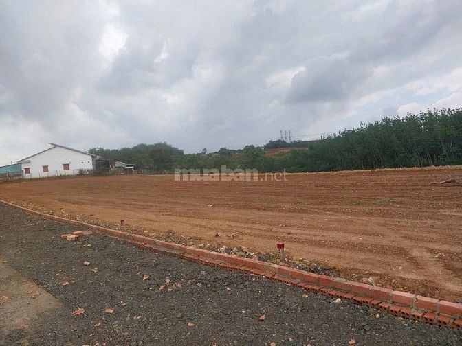 200m đất thổ cư xã Đồng Phú tỉnh Đồng Nai giá chỉ 179tr