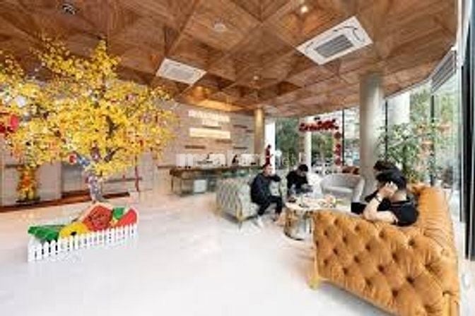 Bán khách sạn tại 1 tầng Cầu Giấy, 300m²  nhà 2 mặt đường Dòng tiền ổn