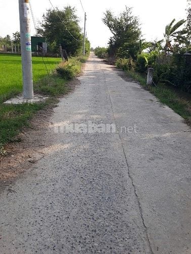 Cần bán đất trồng cây lâu năm xây nhà được 0364340843 Chị Này chínhchu