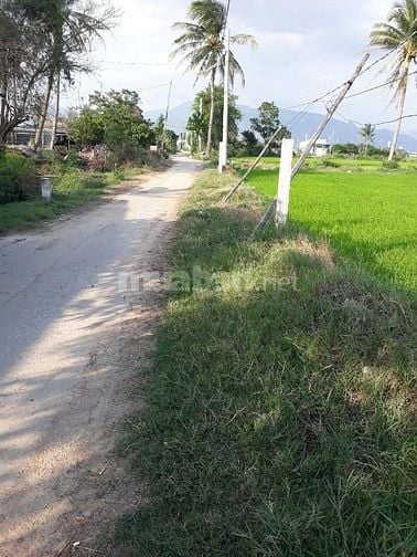 Cần bán đất trồng cây lâu năm xây nhà được 0364340843 Chị Này chínhchu
