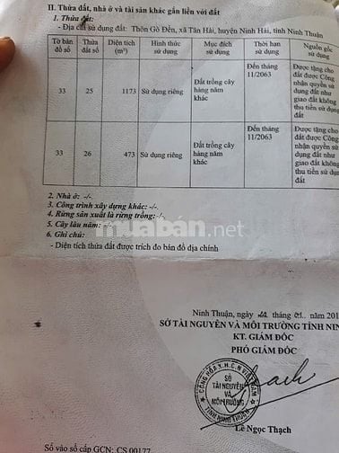 Cần bán đất trồng cây lâu năm xây nhà được 0364340843 Chị Này chínhchu