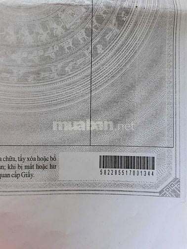 Cần bán đất trồng cây lâu năm xây nhà được 0364340843 Chị Này chínhchu